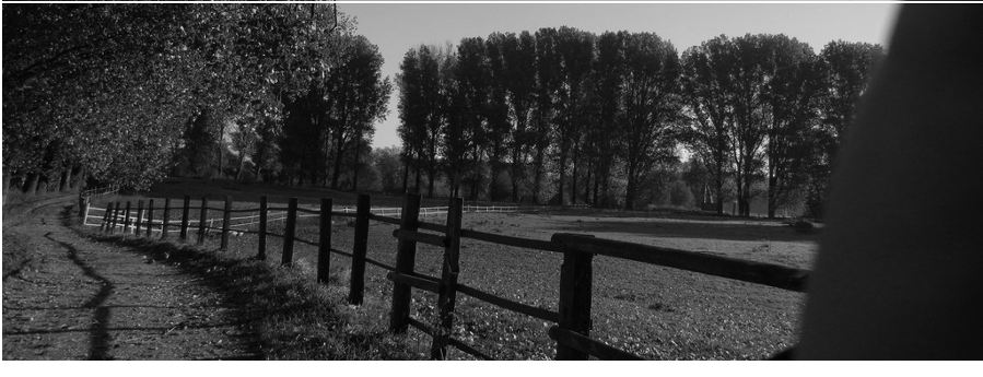 Auf dem Weg zum Rhein image3
